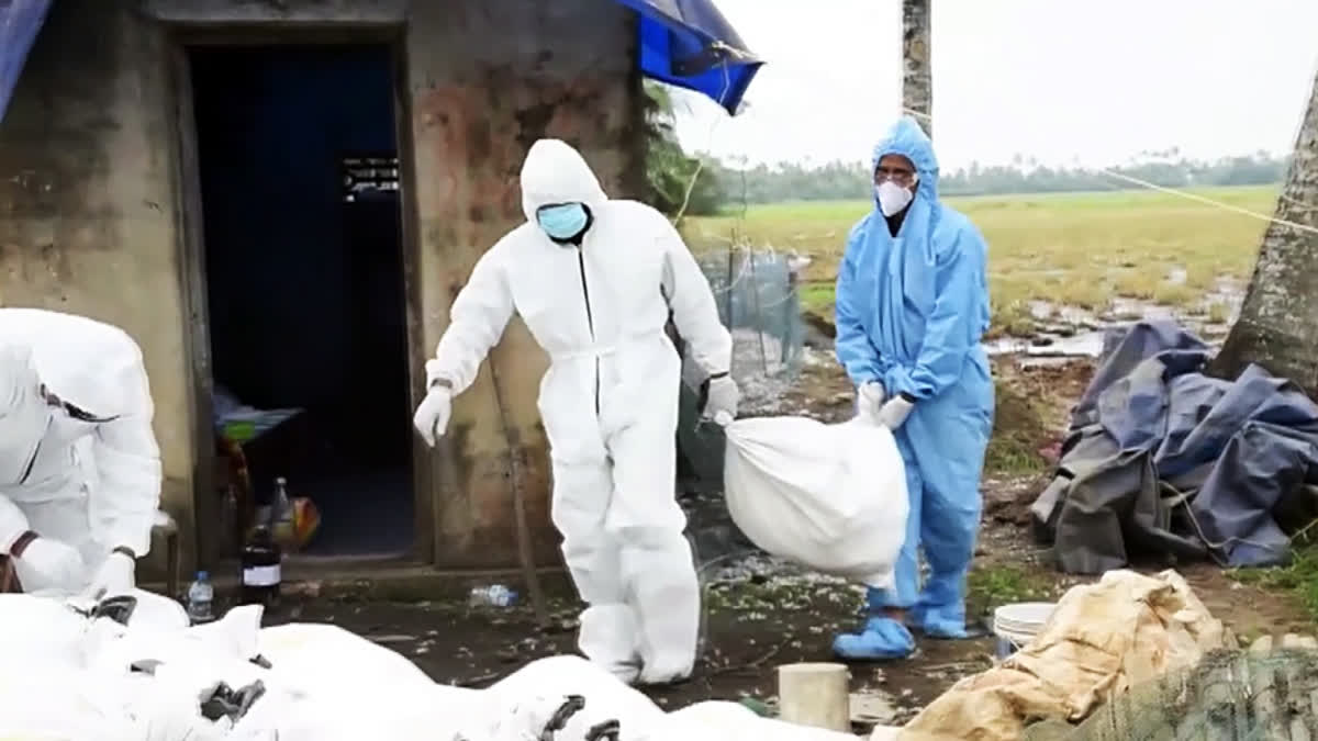 Explained | Bird Flu : Everything You Need To Know Bird Flu : Everything You Need To Know