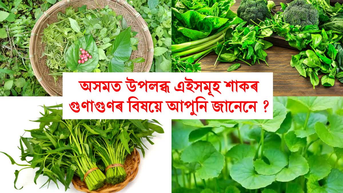 Traditional Assamese Herbs and Their Medicinal Properties