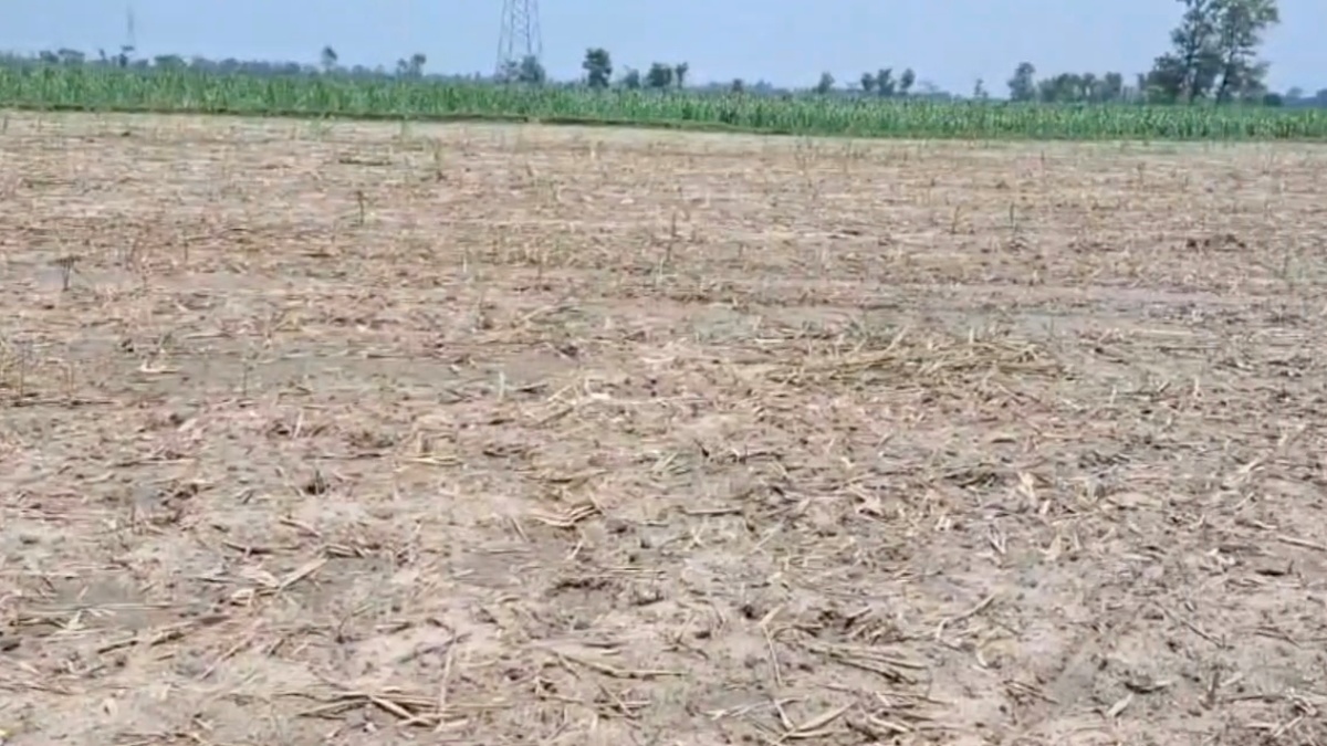 LAND MAFIA IN BAGAHA