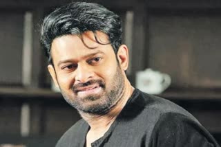 Spirit Movie Heroine