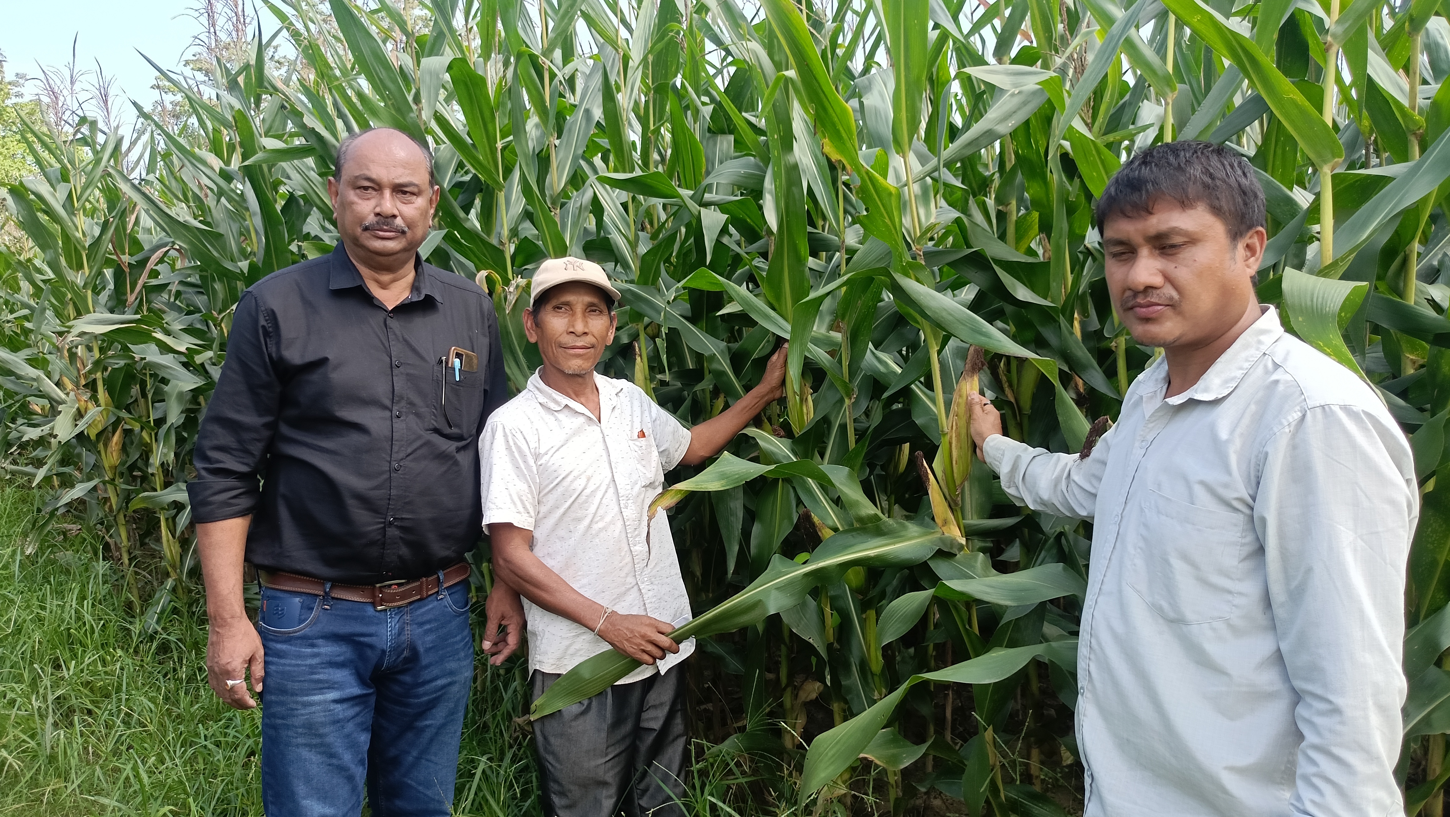 Farmers of Demaji benefiting from corn farming