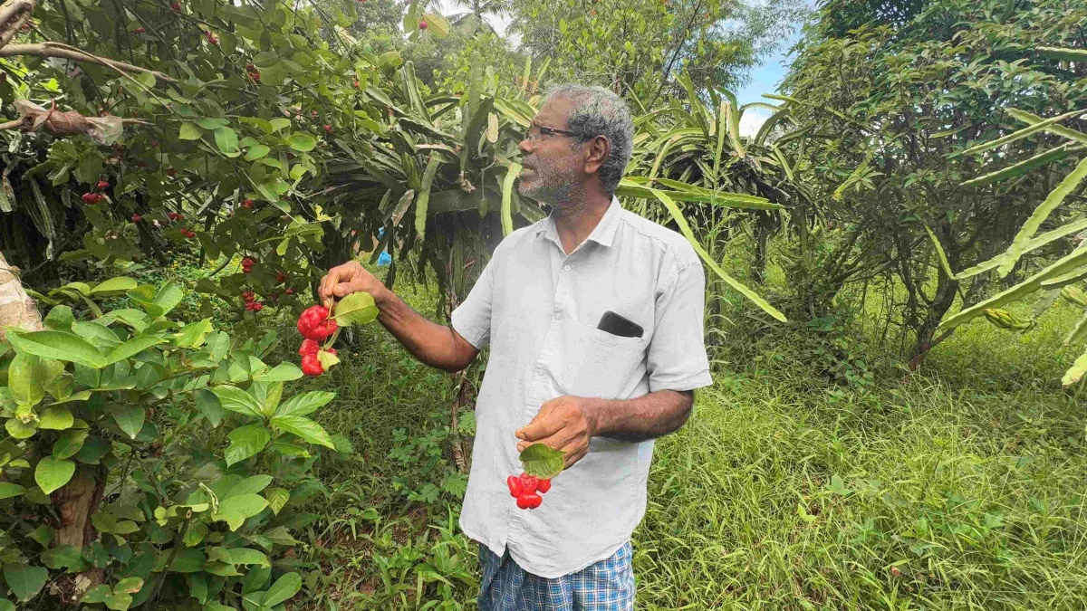 Agriculture