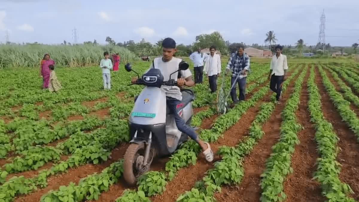 Karnataka Farmer
