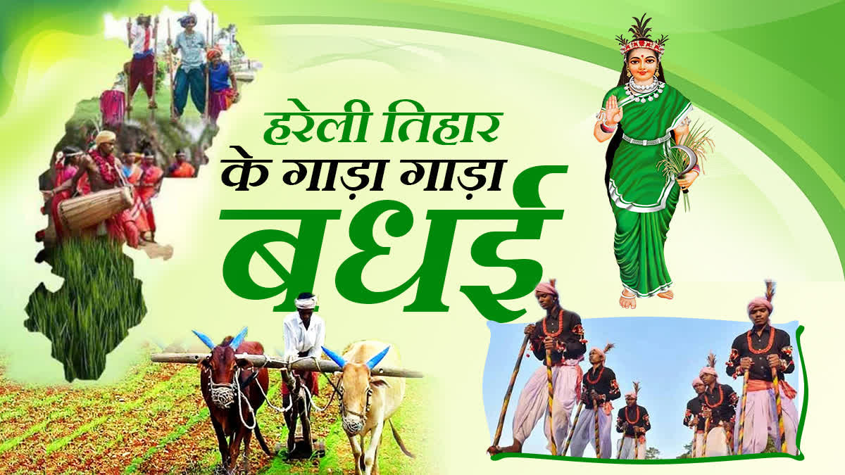 हरेली पर्व का उल्लास, गांवों में निभाई गई पुरातन परंपराएं, गेड़ी और नीम की  पत्तियों का बड़ा महत्व