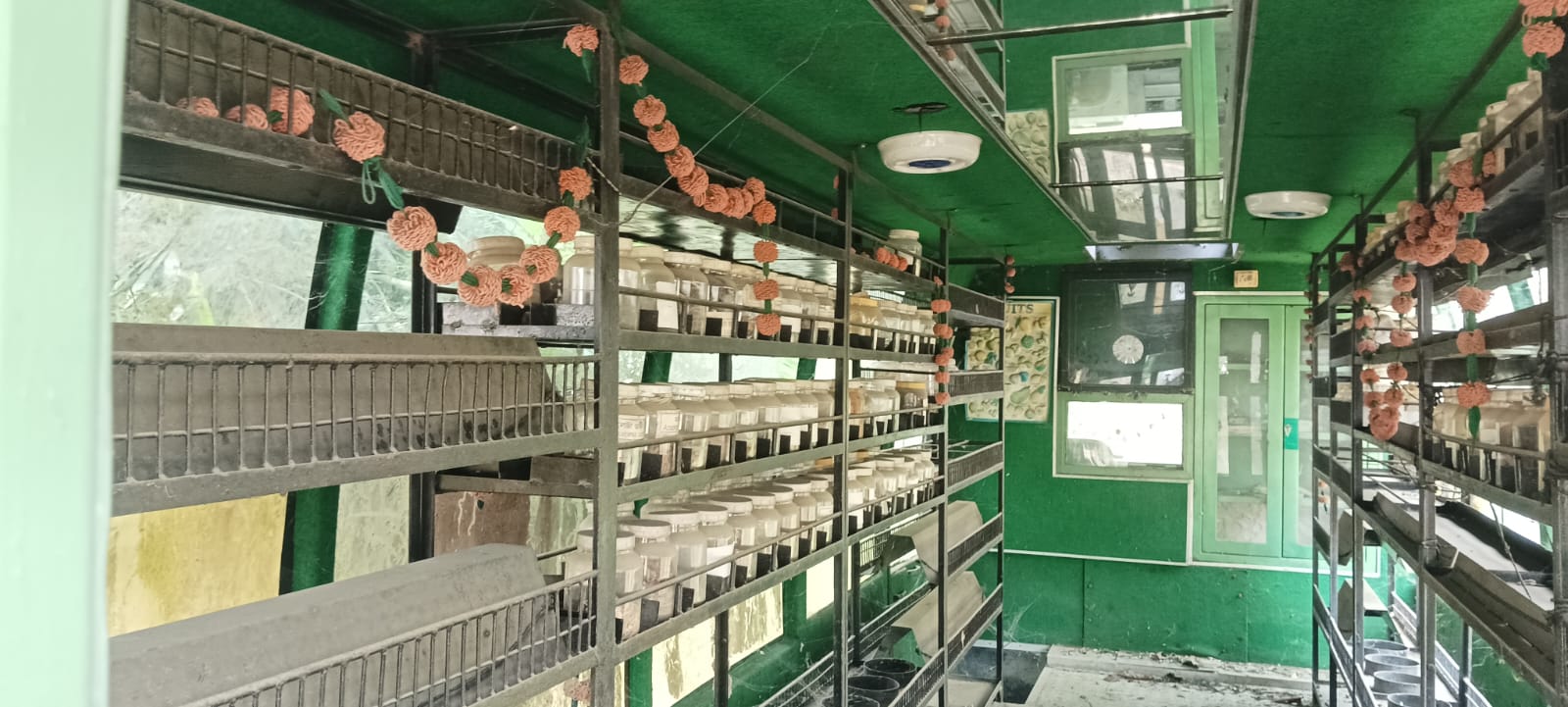 Gunaram Khanikar herbal Museum