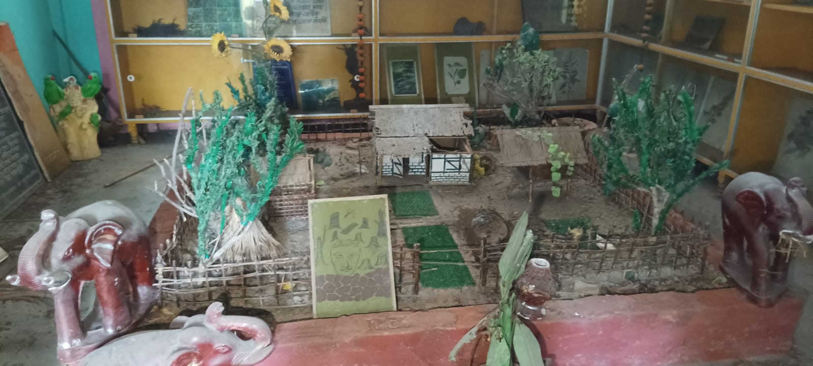 Gunaram Khanikar herbal Museum