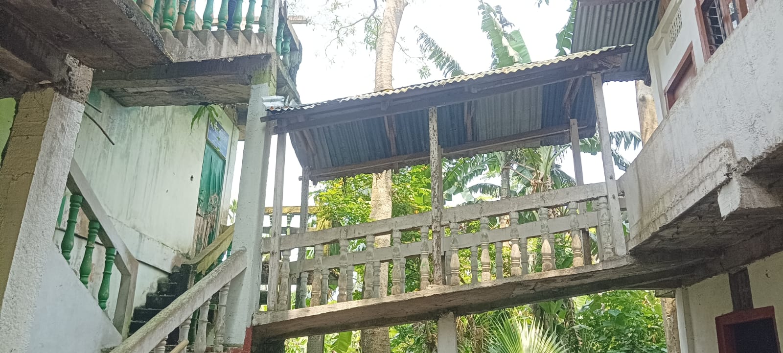 Gunaram Khanikar herbal Museum
