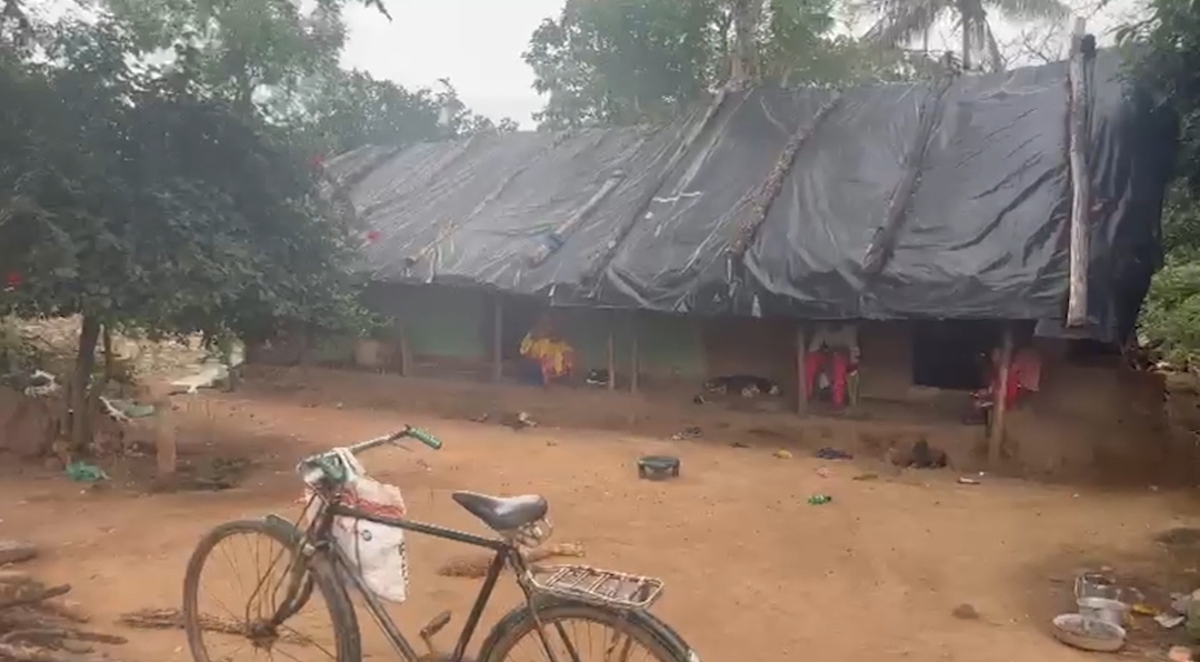 ଦାମପୁରରେ ଝାଡ଼ାବାନ୍ତି ଆତଙ୍କ