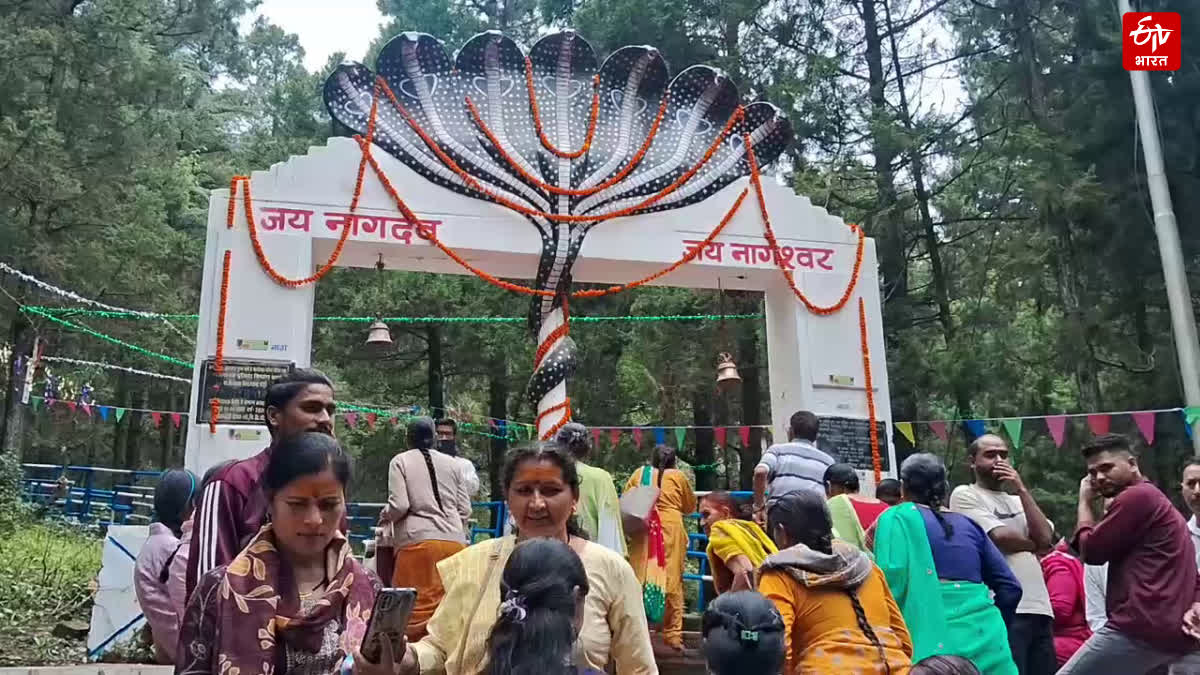 PAURI NAGDEV TEMPLE