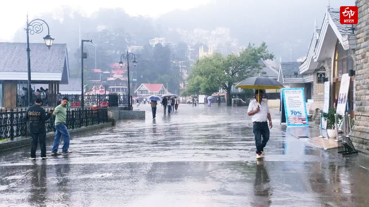 Himachal Weather Forecast