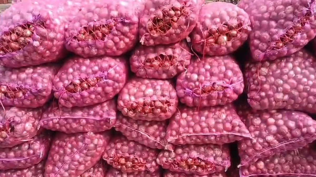 Price of Red Onion Alwar