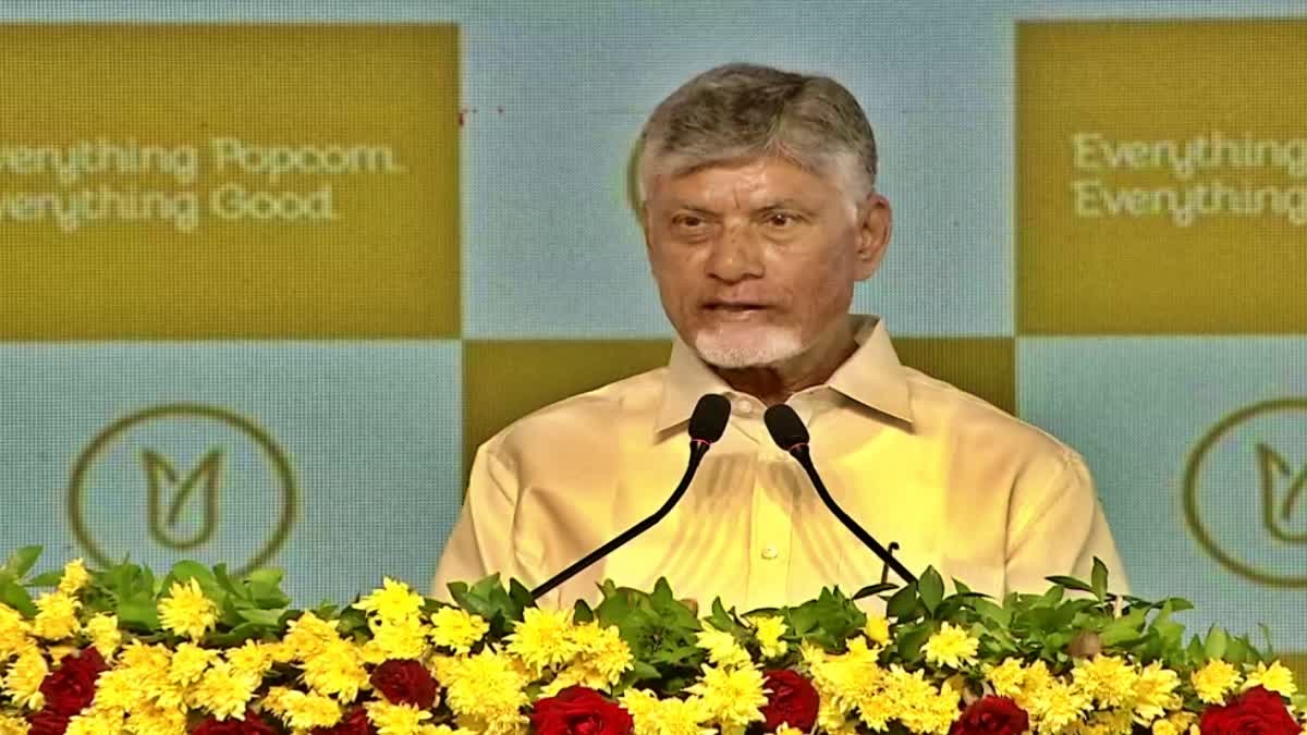 CM Chandrababu Launches Non Gmo Popcorn Maize Hybrid Seeds