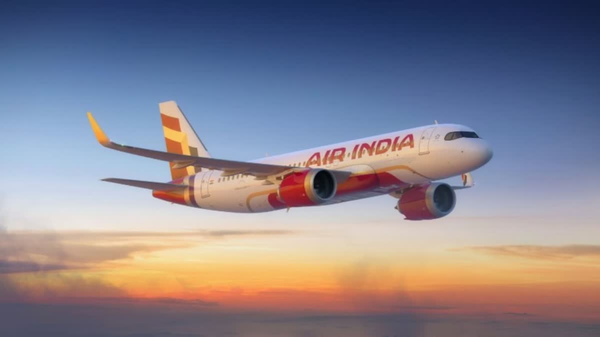Air India flight hit