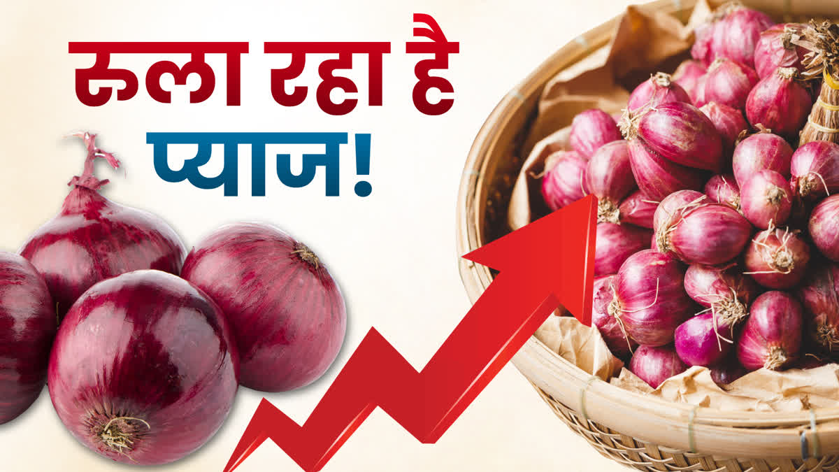 onion prices