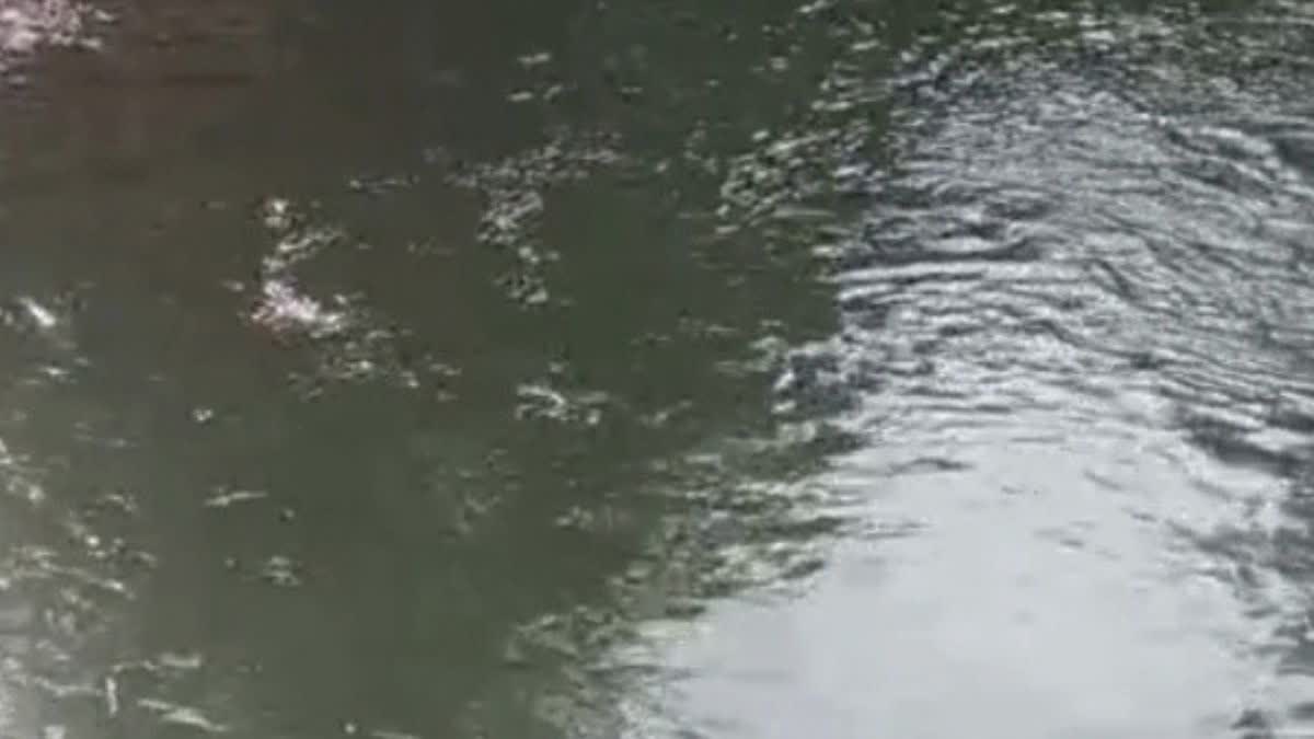 Youth Drown In Dam At Akola