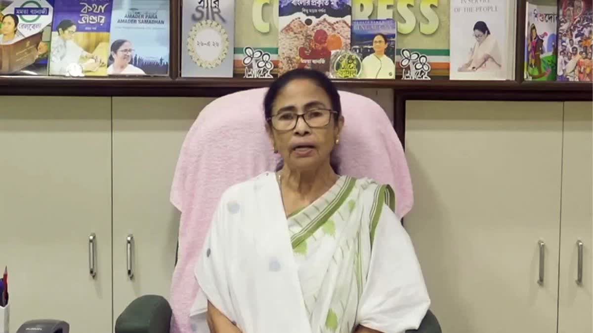 તૃણમૂલ કોંગ્રેસ પ્રમુખ મમતા બેનરજી