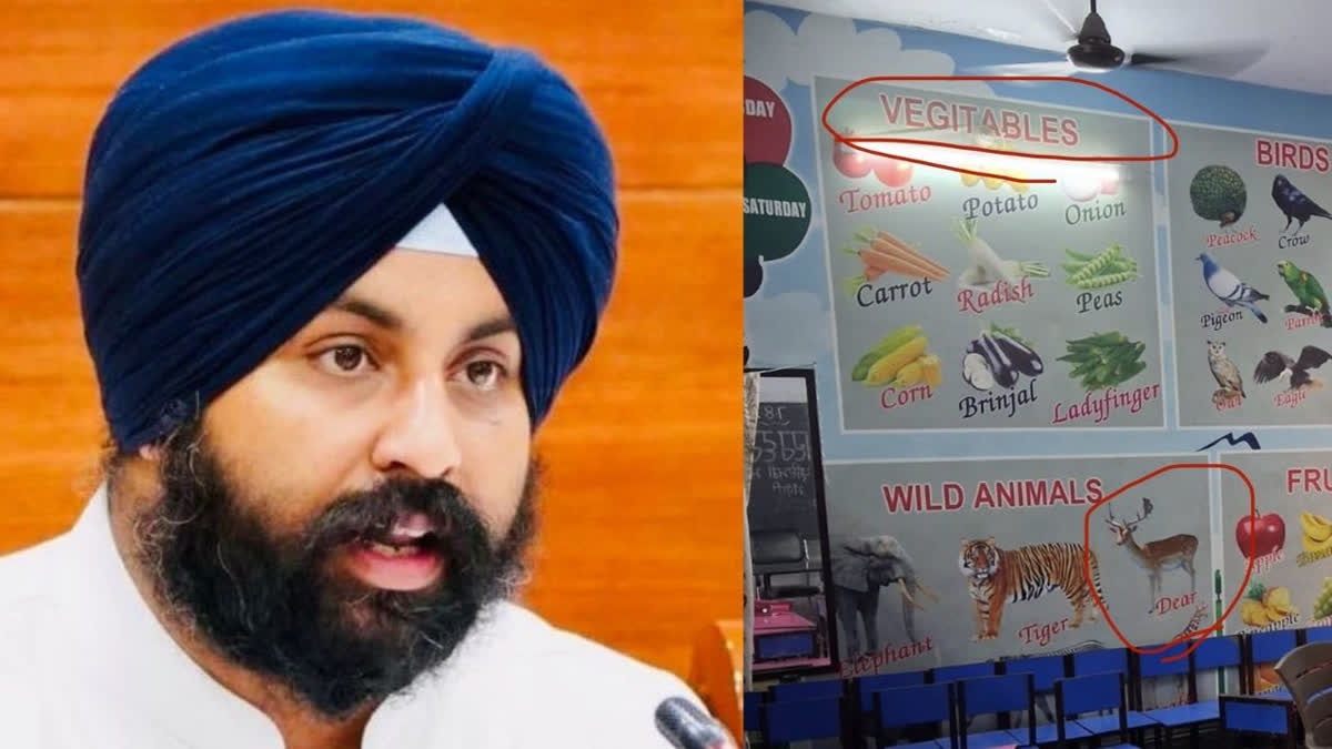 Punjab Schools Leaking Roof and Spelling Errors