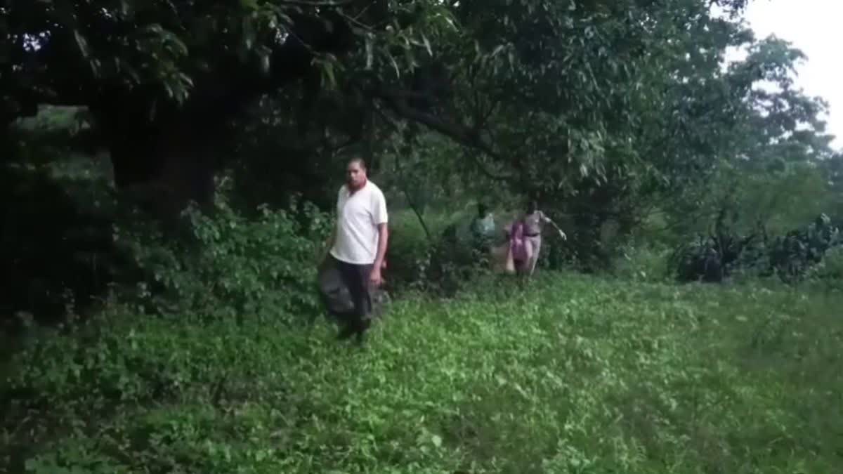 Dantewada Bacheli Forest