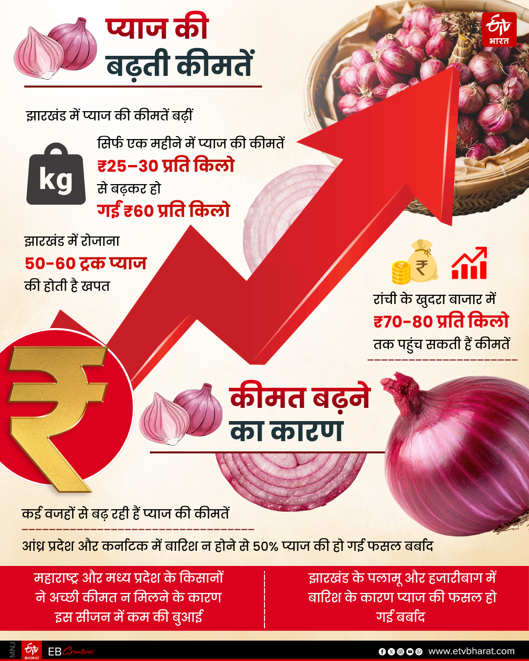 onion prices