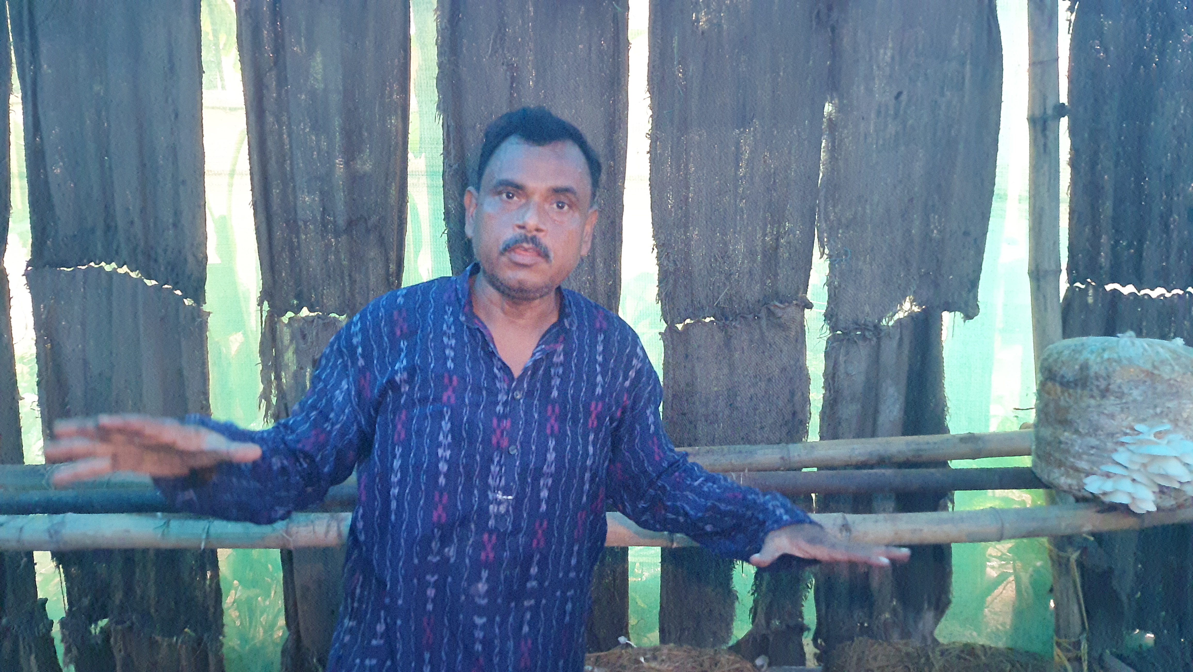 Sambalpur Professor Grows Mushrooms On Discarded Banana Stems, Trains Over 500 People