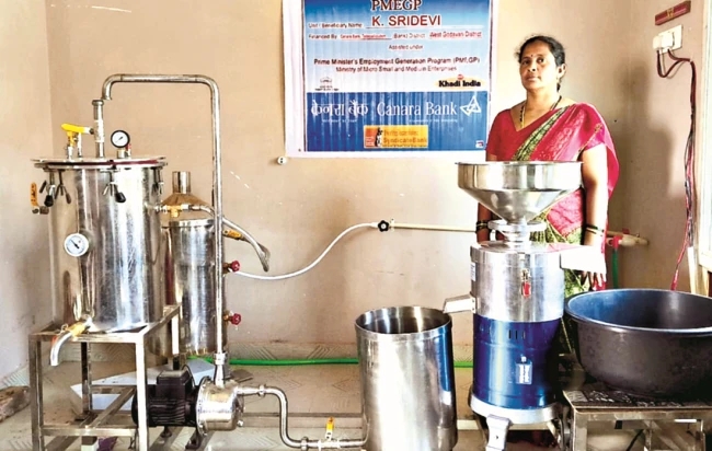 Government Support to Women as Entrepreneurs