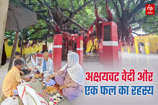 PITRU PAKSHA 2026