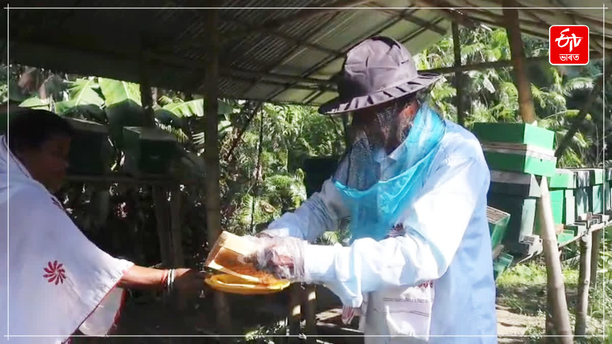 Majuli beekeeper Bhimkant Saikia