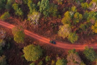 MP TIGER RESERVE BOOKING FULL