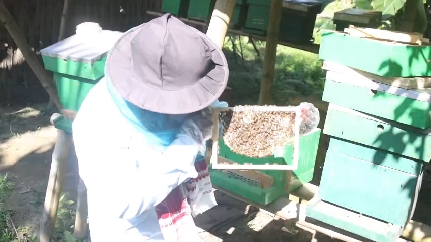 Majuli beekeeper Bhimkant Saikia