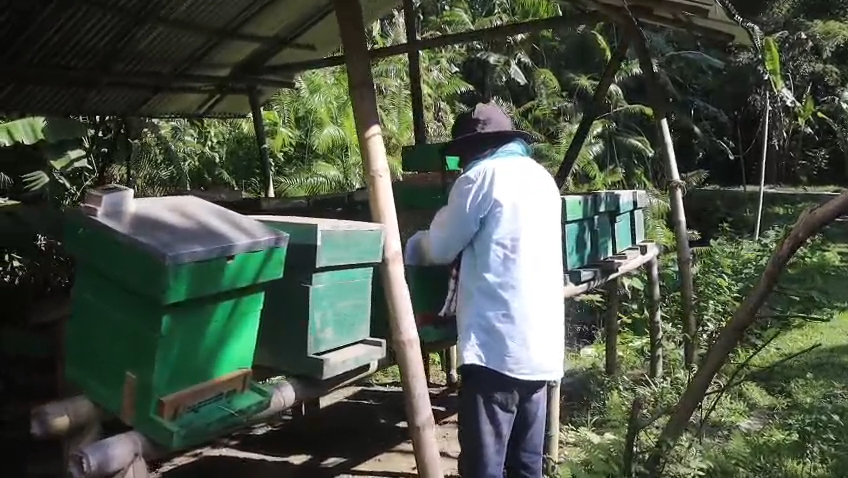 Majuli beekeeper Bhimkant Saikia