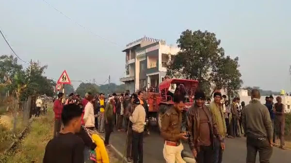 chhindwara tiger enter village