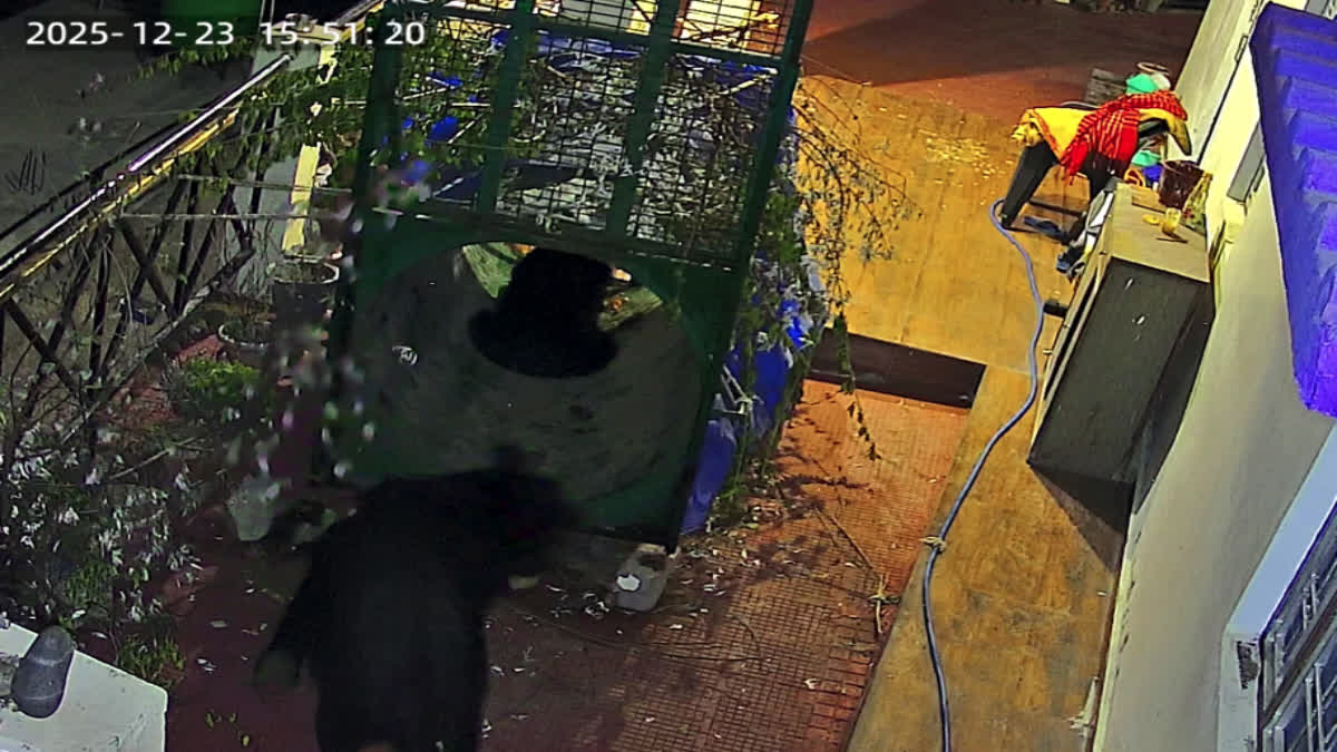 UTTARKASHI BEAR TRAPPED IN A CAGE