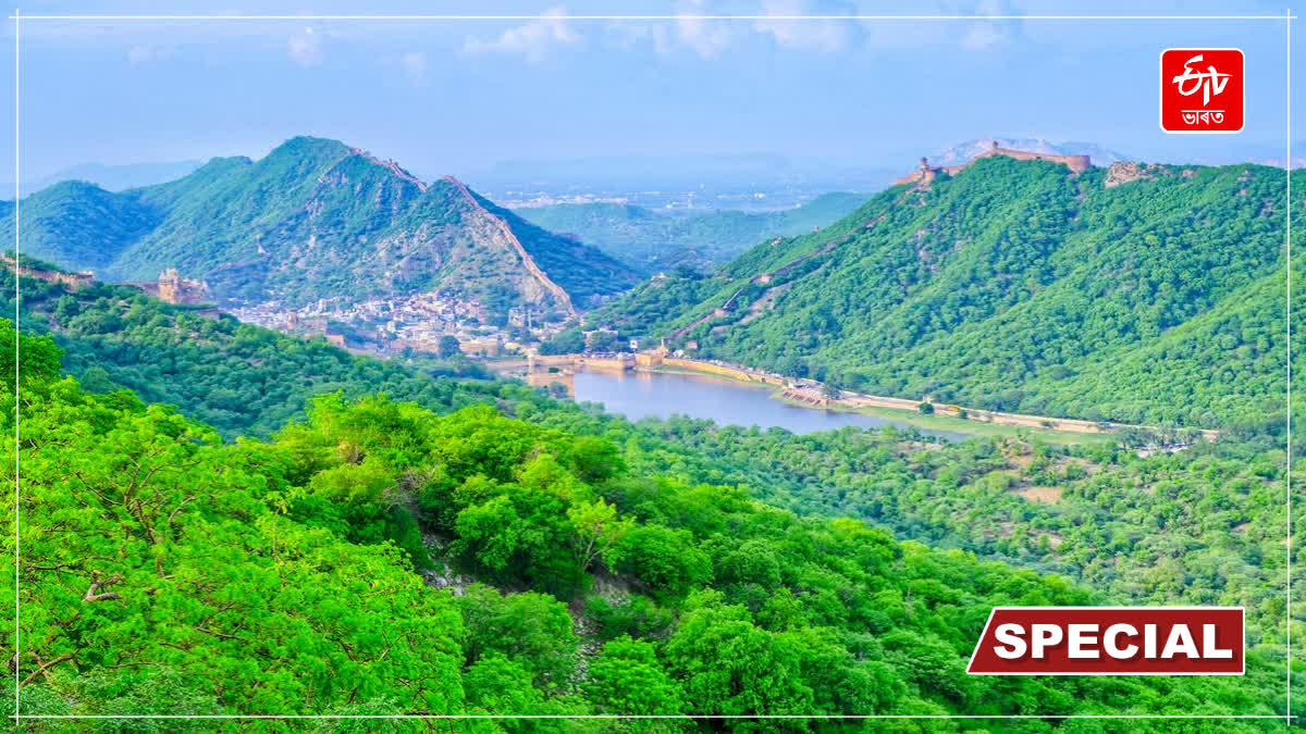 ARAVALLI CONTROVERSY