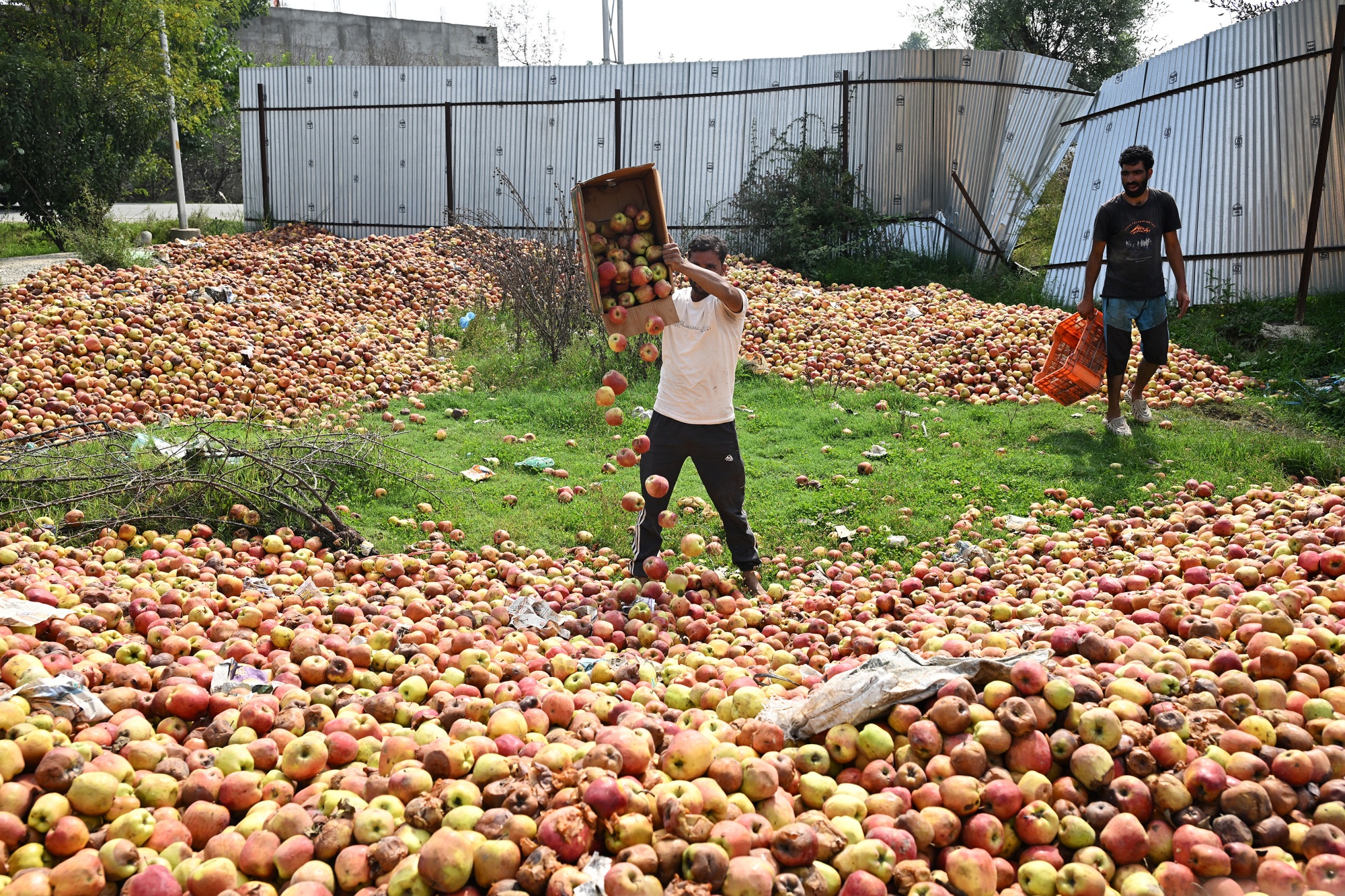 Yearender 2025 The Fear And Fury In The Himalayas