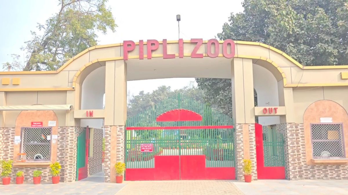 best destination for new year