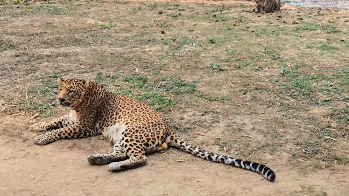 best destination for new year