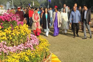 Chandigarh Chrysanthemum Show 2025