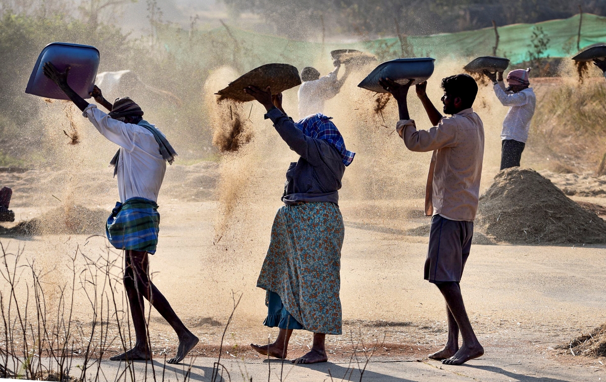 Will The Budget 2026-27 Double Farmers' Incomes? Experts Are Hopeful!