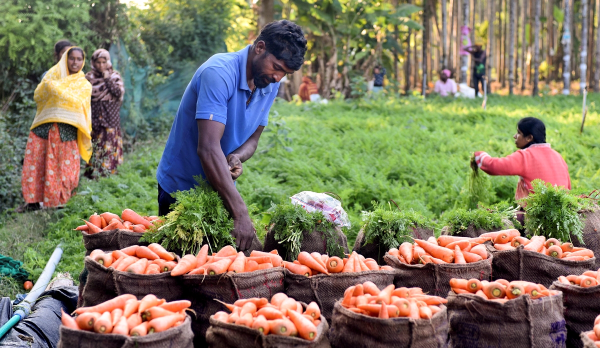 Will The Budget 2026-27 Double Farmers' Incomes? Experts Are Hopeful!
