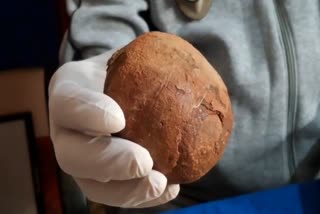 PANNA 500GM STONE IN STOMACH