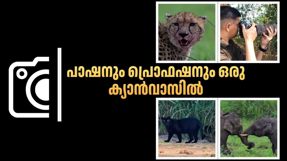വൈല്‍ഡ് ലൈഫ് ഫോട്ടോഗ്രഫി  വേള്‍ഡ് ഫോട്ടോഗ്രഫി ഡേ  വൈല്‍ഡ് ലൈഫ് ഫോട്ടോഗ്രാഫര്‍ ബിബിന്‍  ലോക വന്യജീവി ഡേ