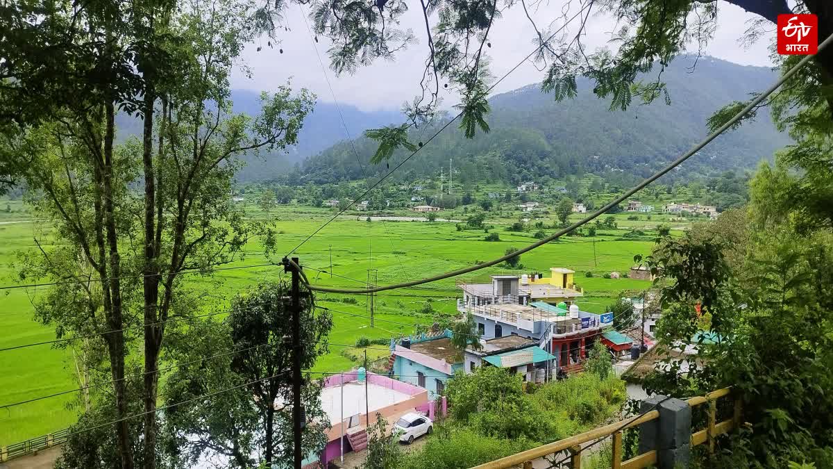 Uttarakhand Meteorological News