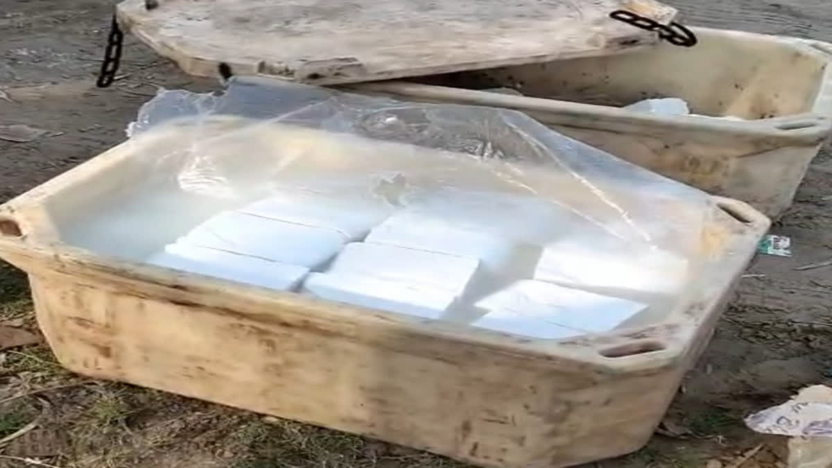 Adulterated cheese seized