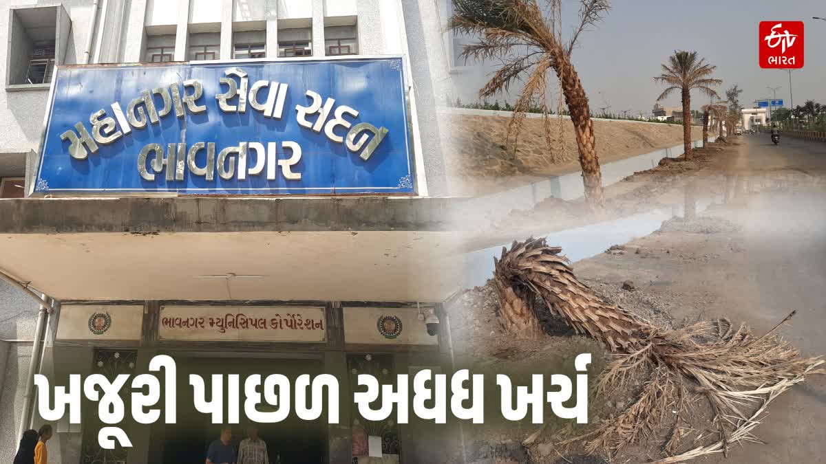 વૃક્ષોની માવજતનો અભાવ