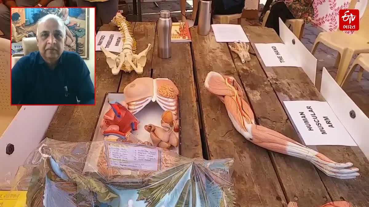 લોકોમાં કેમ સતત ઘટી રહ્યું છે કેલ્શિયમનું પ્રમાણ ?