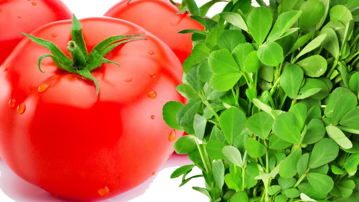 methi_tomato_chutney