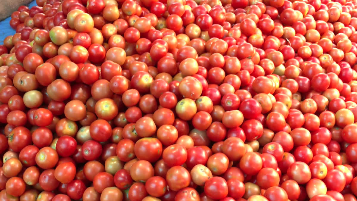 రాష్ట్రంలో కూరగాయల ధరలు