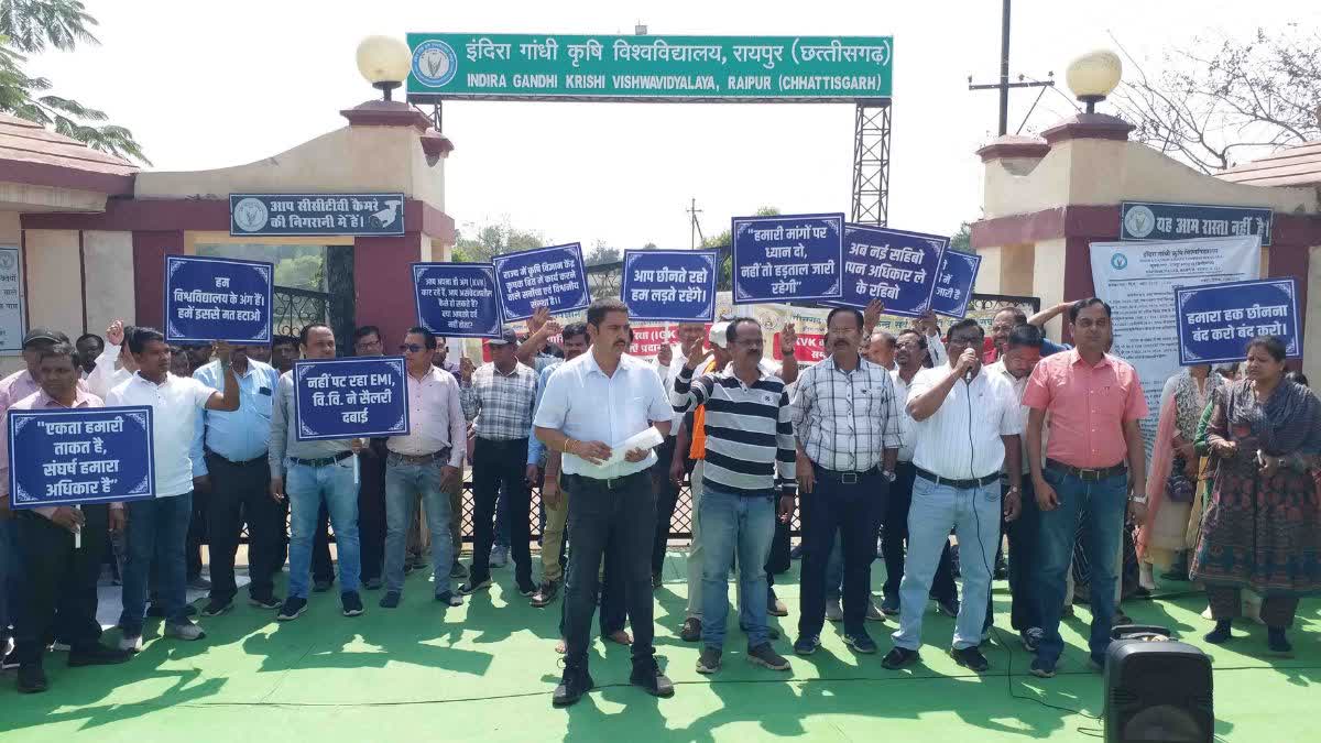 Indira Gandhi Agricultural University Raipur