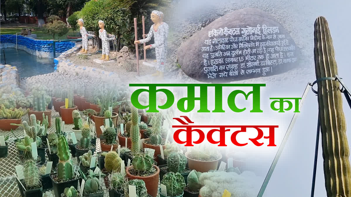 largest cactus garden in Asia