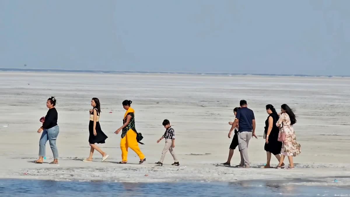 રણમાં રેકોર્ડ તોડતો રણોત્સવ